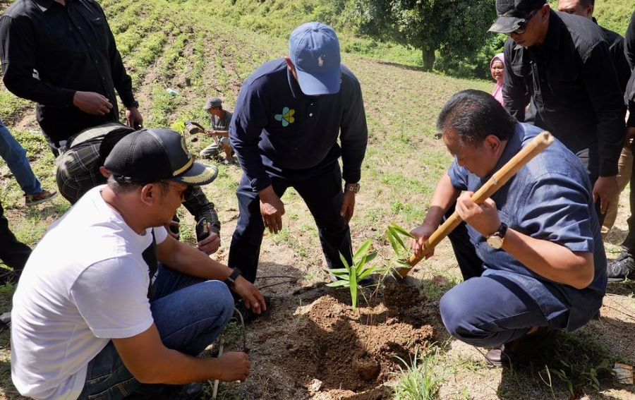 Rachmat Gobel Terus Gencarkan Gerakan Penghijauan di Gorontalo